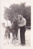 Sorrel stallion born 1943 out of Ginger by Murphys Chief;owned by Mike Faulkner El Rancho no Frito; I hope;VP RE Faulkner nurse in waiting.jpg